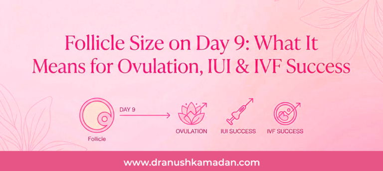 Follicle Size on Day 9