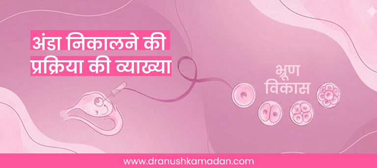 अंडा निकालने की प्रक्रिया