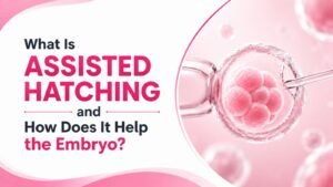 What Is Assisted Hatching and How Does It Help the Embryo