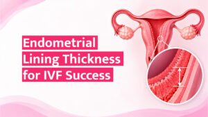 Endometrial Lining